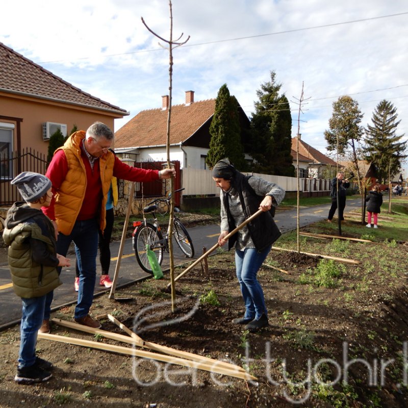 Közösségi faültetés Berettyóújfaluban 35